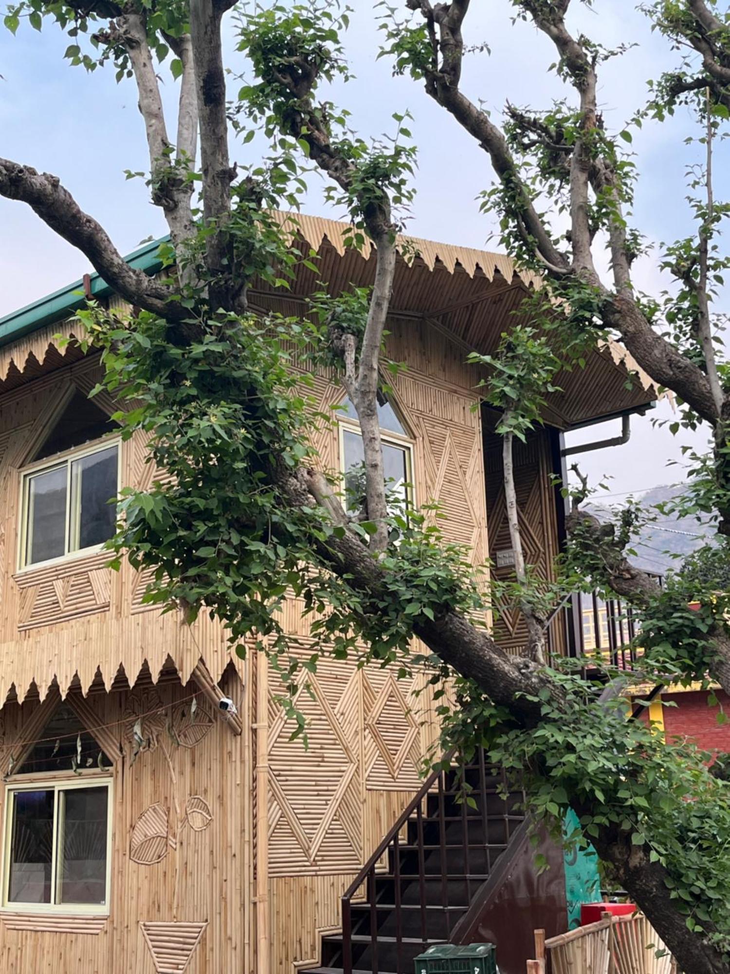 Bamboo Garden Cottages And Cafe Rishīkesh Zewnętrze zdjęcie